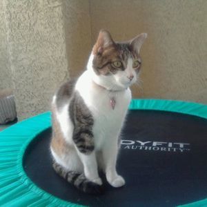 Meet your Posher, Janet